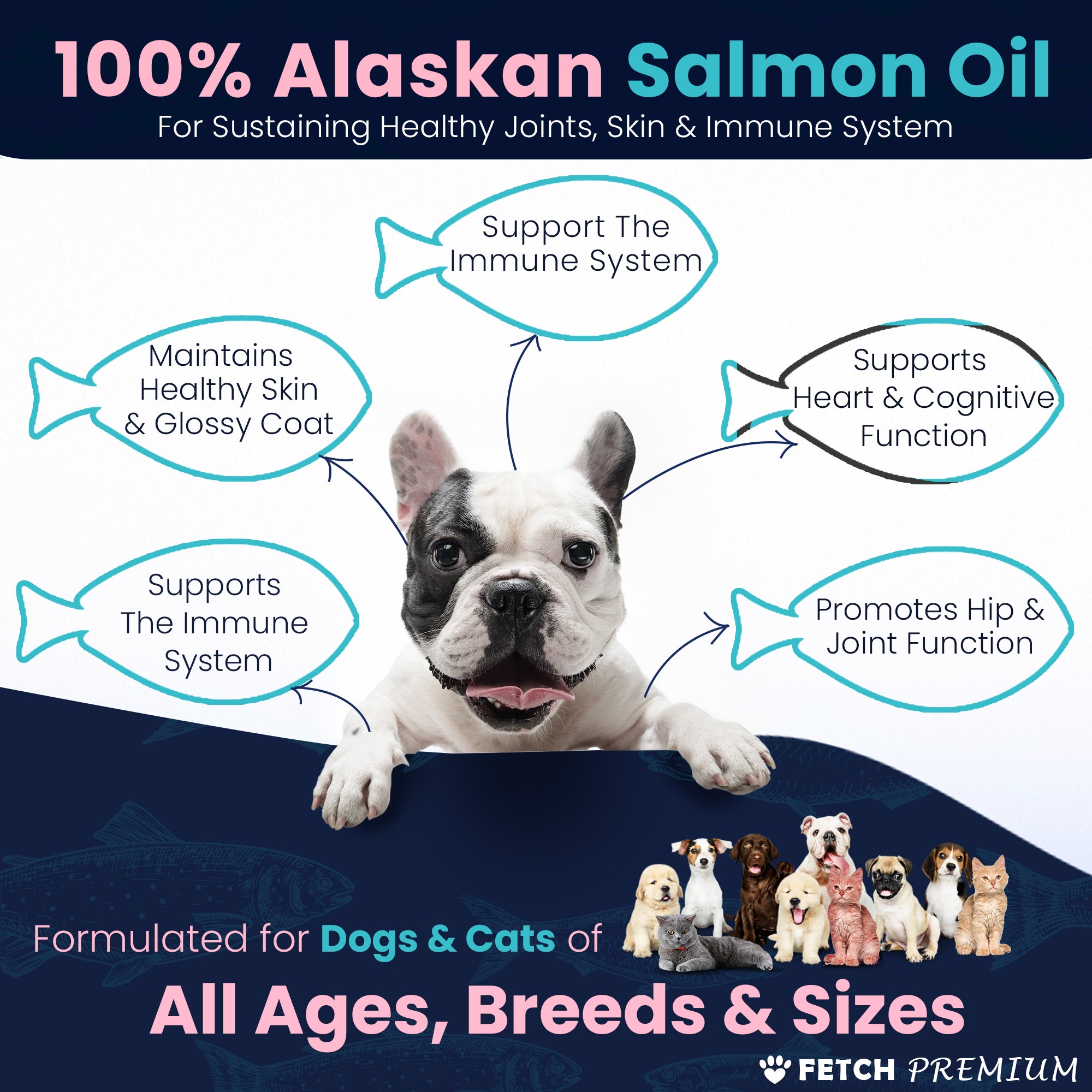 Brilliant Salmon Oil for Dogs (40oz) | Omega 3 Fish Oil Liquid Supplement  with DHA, EPA Fatty Acids | Supports Skin and Coat, Immune System & Joint
